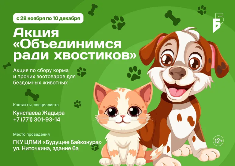 Дорогие друзья! 🐾