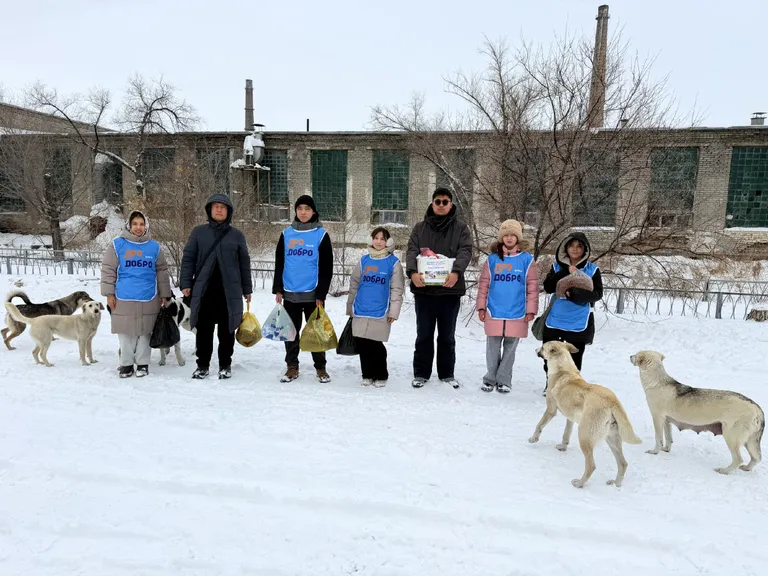 🐾❄️ Тепло и забота — тем, кто не может сказать спасибо словами ❄️🐾